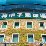 野球肘治療記事｜船橋｜鍼灸｜たけうち治療院